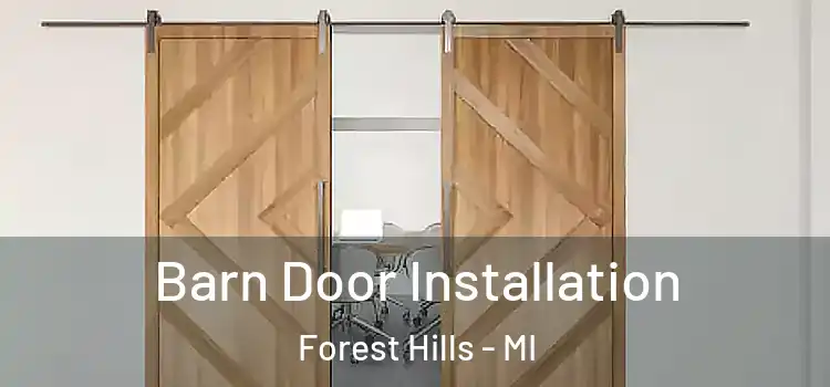 Barn Door Installation Forest Hills - MI