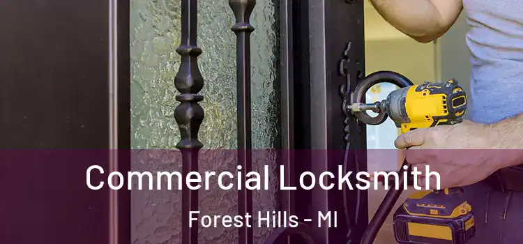 Commercial Locksmith Forest Hills - MI