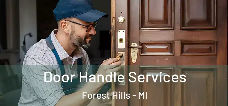 Door Handle Services Forest Hills - MI