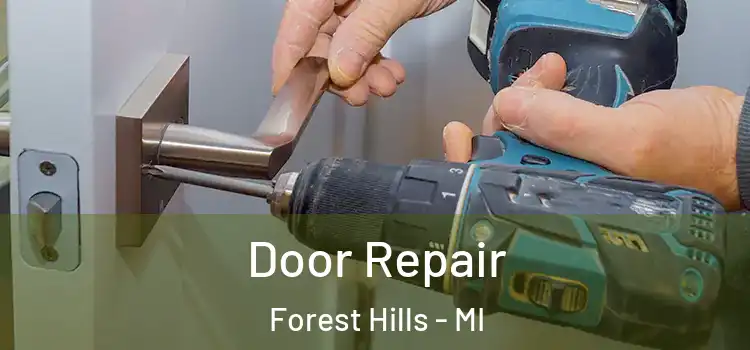 Door Repair Forest Hills - MI