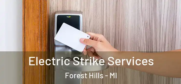 Electric Strike Services Forest Hills - MI