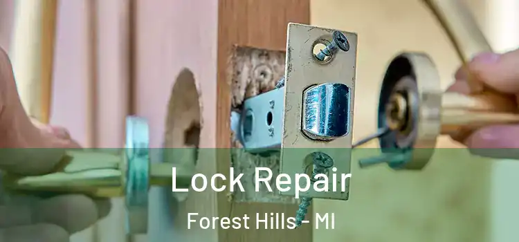 Lock Repair Forest Hills - MI