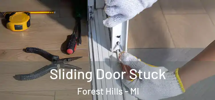 Sliding Door Stuck Forest Hills - MI